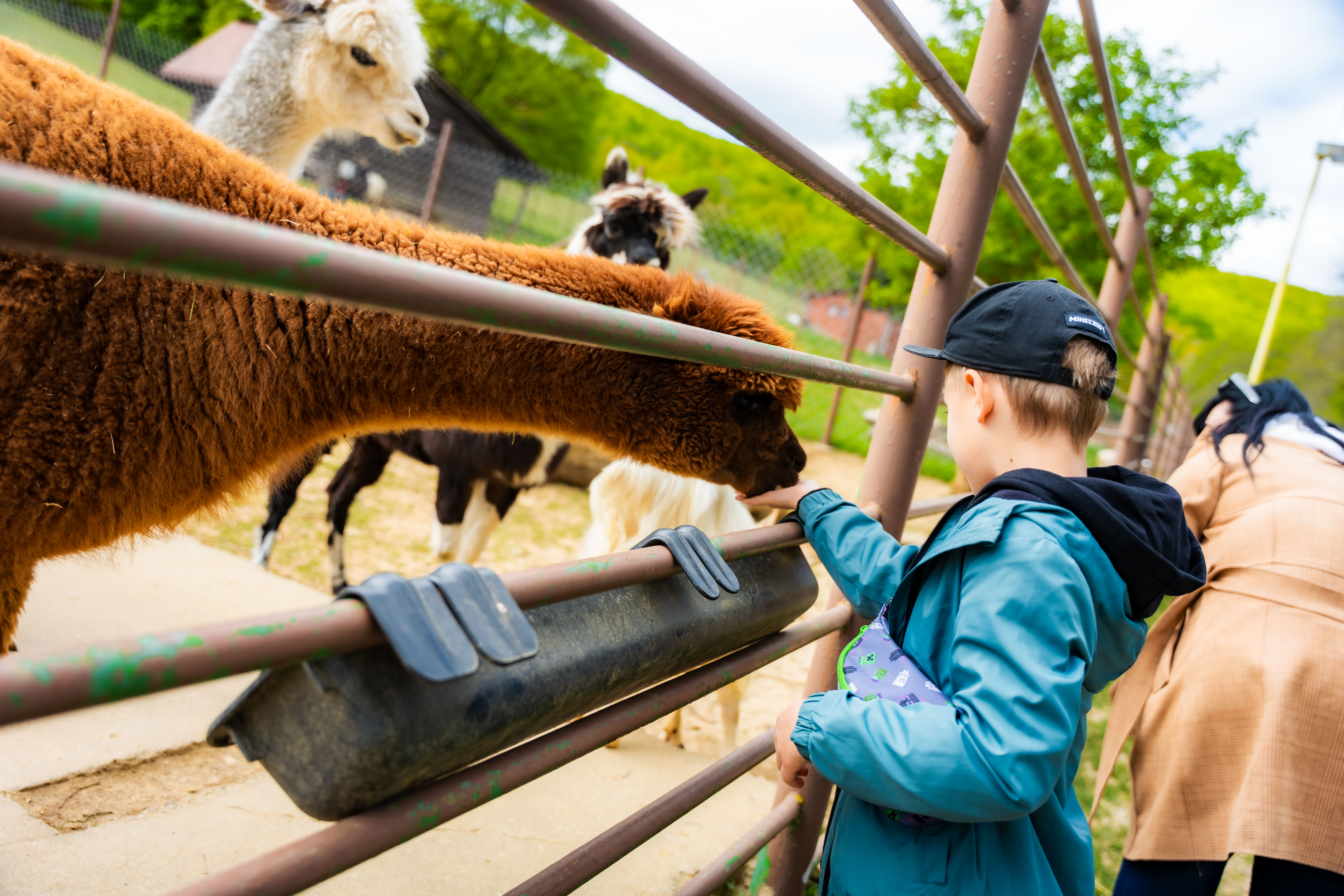 Slavnostne odomykanie vrany ZOO Kosice-1-31